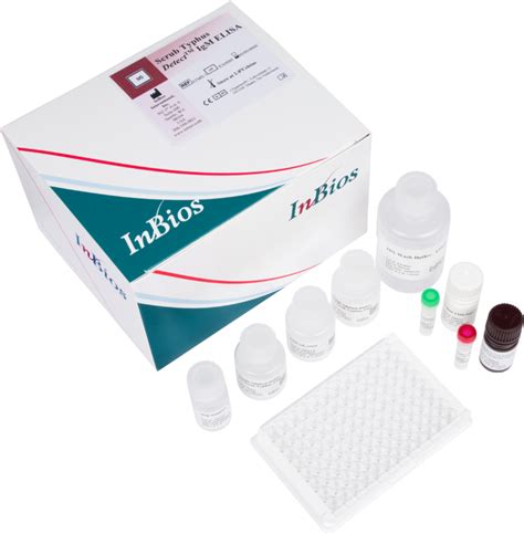 scrub typhus igm elisa kit|igm elisa.